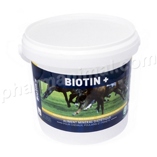 BIOTIN + POUDRE B/1.4 KG