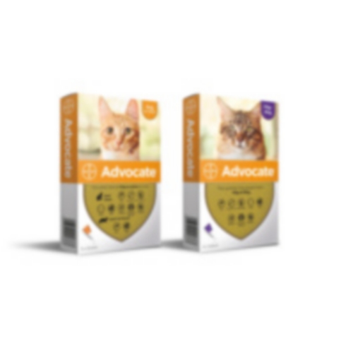 ADVOCATE CHIEN 0,4 ML (0-4 KG) plaq/3 sol ext ADVOCATE CHIEN 0,4 ML (0-4 KG) plaq/3 sol ext