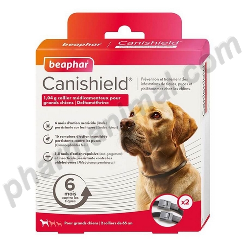 CANISHIELD COLLIER GRAND CHIEN B/2