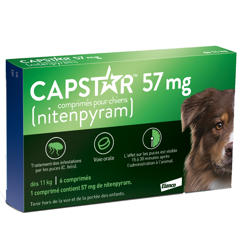 CAPSTAR 57 MG  chien    b/6       	cpr