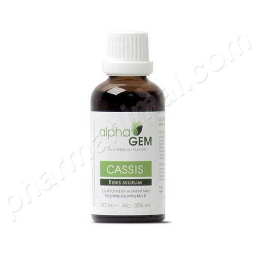 Cassis (ribes nigrum) bourgeon BIO fl/ 50 ml