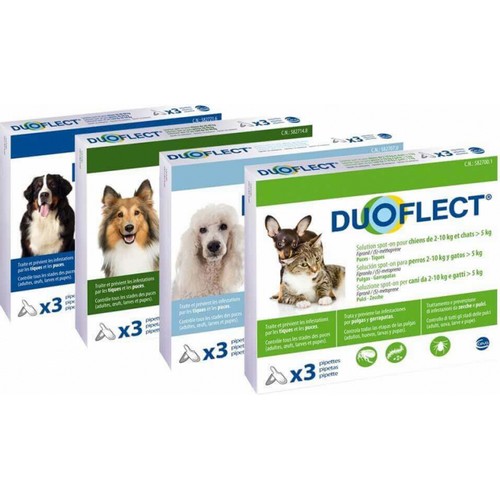 DUOFLECT CHIEN (20-40)         	plaq/3    	sol ext