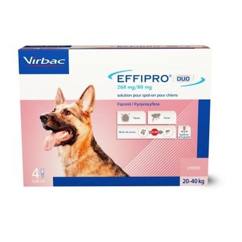 EFFIPRO DUO CHIEN 268MG (20-40KG)  PLAQ/4