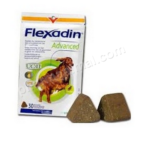 FLEXADIN ADVANCED BOSW DOG     	b/60      bouches *