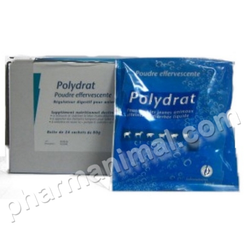 POLYDRAT POUDRE EFFERVESCENTE	b/24*80 g pdr or
