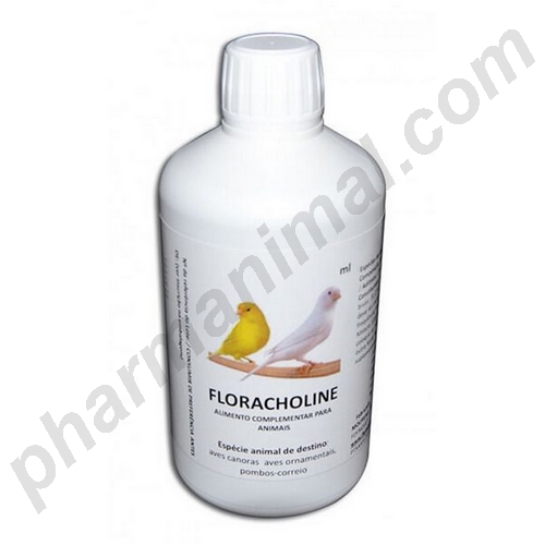 FLORACHOLINE     fl/60 ml  sol buv