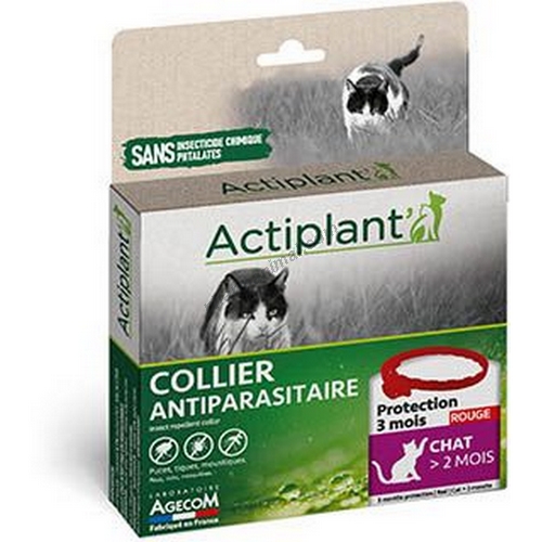 ACTI COLLIER ROUGE CHAT 35 CM* 	1 collier