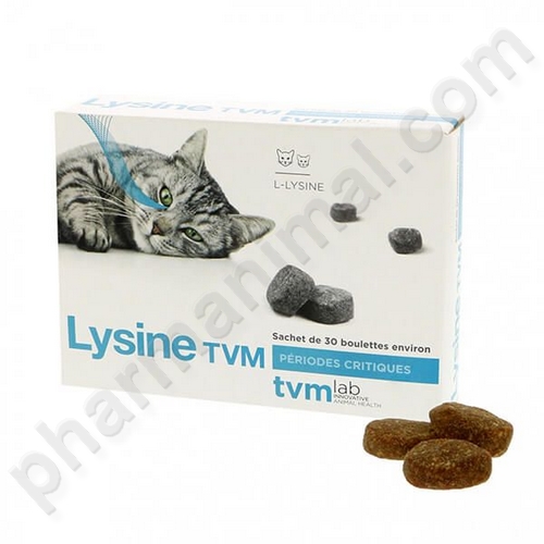 LYSINE CHAT (BOULETTES)        	b/30*2 g  boulette