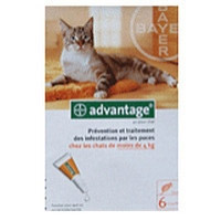 ADVANTAGE 40 CHAT/LAP (0-4 KG) 	blist/4   	sol ext