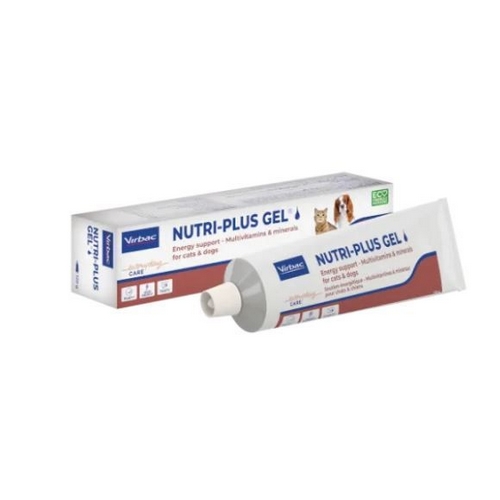 NUTRI PLUS GEL tbe/120 g pate or  LOT DE 2