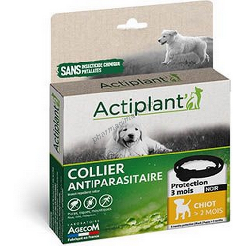 ACTI COLLIER NOIR CHIOT 41 CM  	1 collier