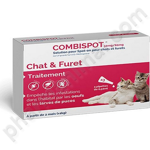 COMBISPOT CHAT B/3