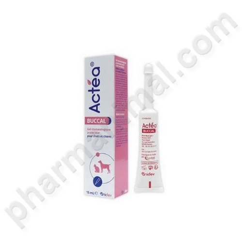 ACTEA BUCCAL   tbe/15 ml gel or