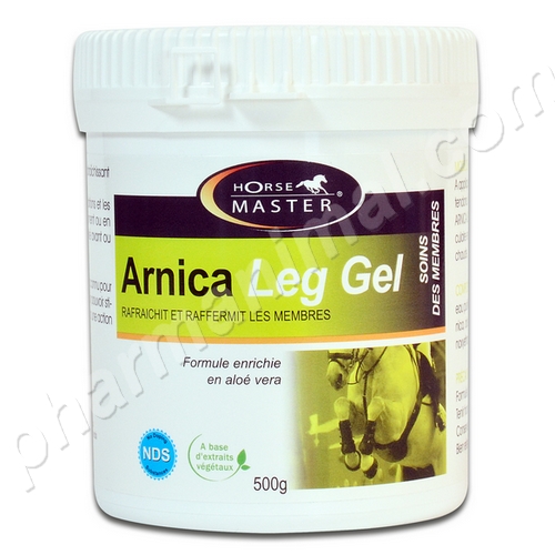 ARNICA LEG GEL   pot/500 g 	gel ext
