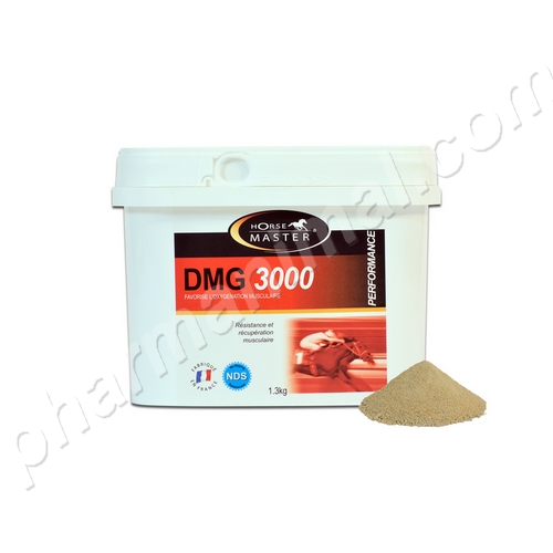 DMG 3000   b/1,3 kg  	pdr or