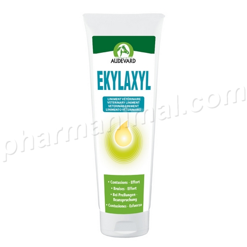 EKYLAXYL  fl/250 ml 	gel ext