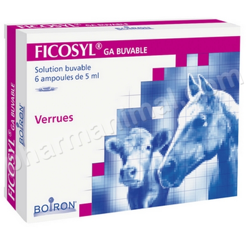 FICOSYL AMP	b/6*5 ml  sol inj