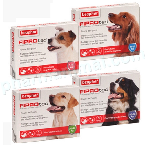 FIPROTEC CHIEN L (20-40) PLAQUETTES B/4