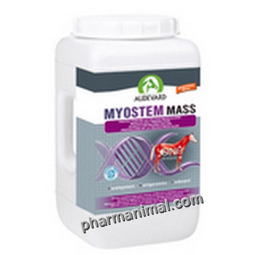 MYOSTEM MASS B/2.1 KG