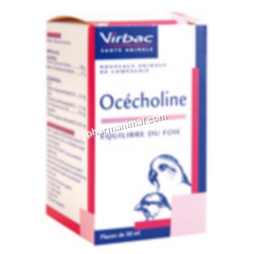 OCECHOLINE	fl/50 ml  	sol buv  ***