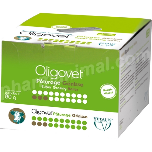 OLIGOVET PATURAGE GENISSE B/20 ***