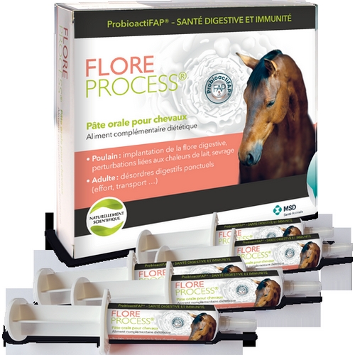 FLORE PROCESS CHEVAL B/5*20 ML PATE ORALE