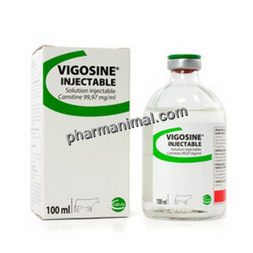 VIGOSINE FL/100 ML INJ