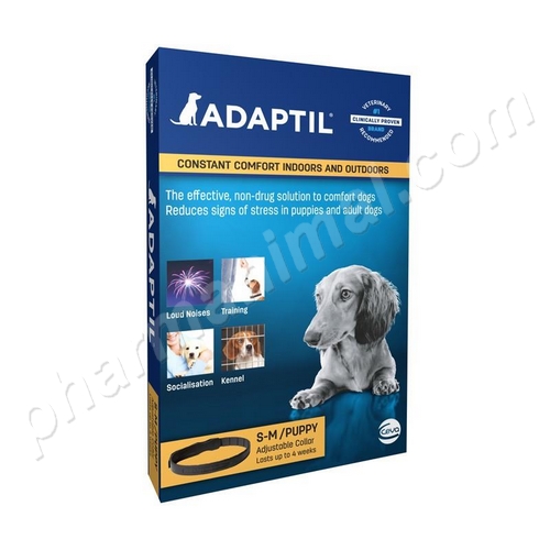 ADAPTIL COLLIER 37,5 CM NP S/M   1 collier