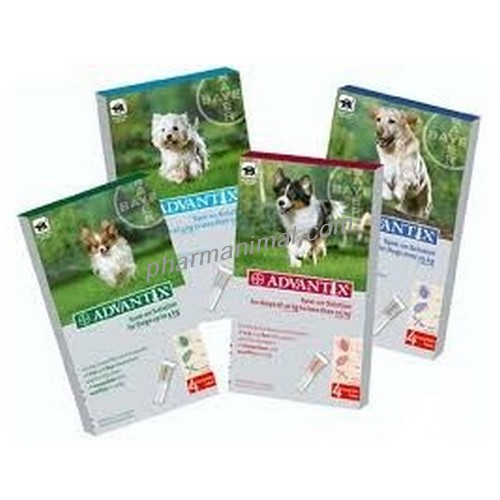 ADVANTIX CHIEN 0,4 ML (1,5-4)  	plaq/6    	sol ext