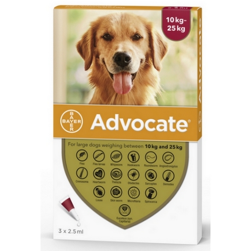 ADVOCATE CHIEN 2,5ML (10-25KG) 	plaq/3    sol ext