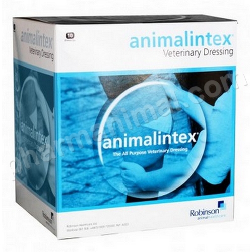 ANIMALINTEX (40 CM *21 CM) B/10 BANDES **