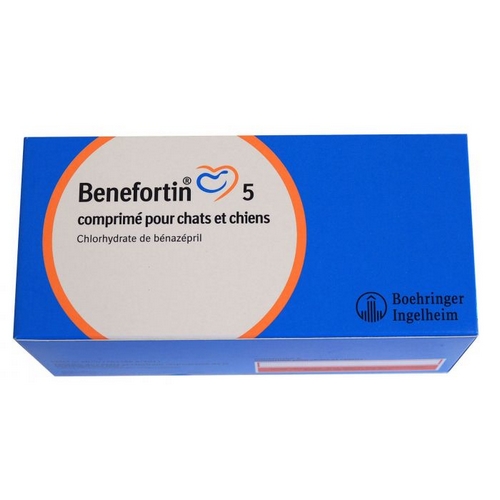 BENEFORTIN 5 MG (5-20) b/140 cpr  (ordonnance obligatoire)