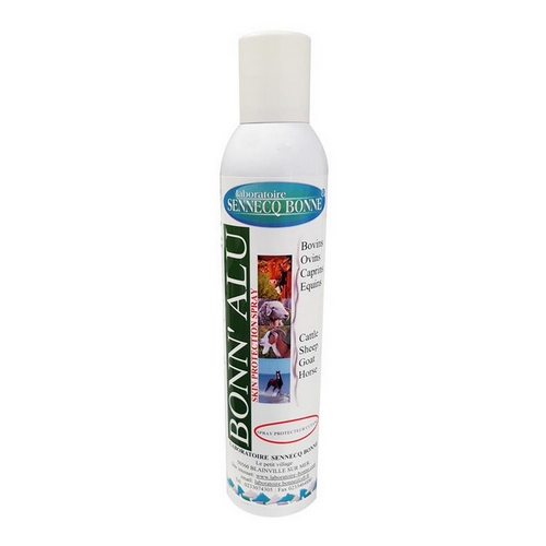 BONN'ALU AEROSOL     bbe/300ml 	sol ext