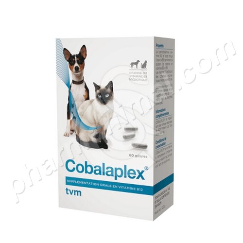 COBALAPLEX    b/60 gel  	gelules