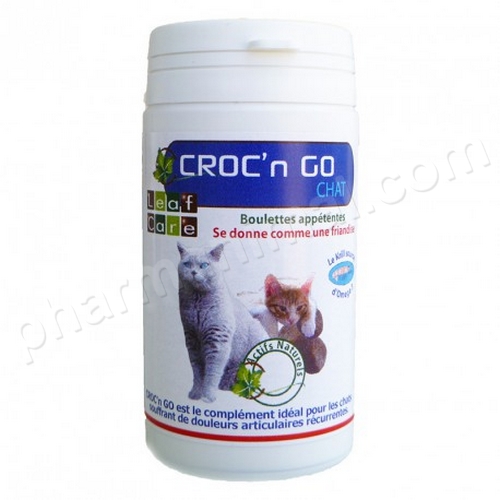 CROC'N GO CHAT  b/40 g    	boulette   **