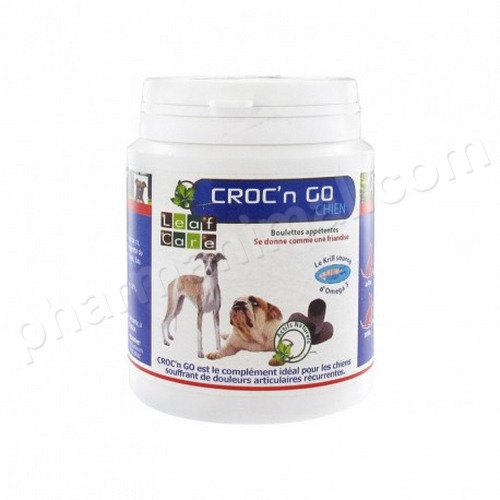 CROC'N GO CHIEN  b/100 g   	boulette