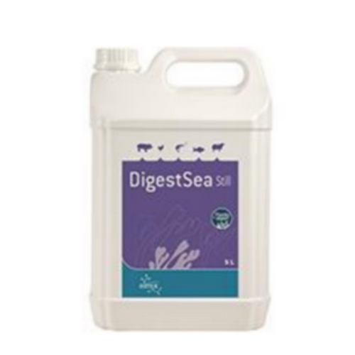 ALGO DIGESTSEA STILL bid/1 l sol buv ALGO DIGESTSEA STILL bid/1 l sol buv