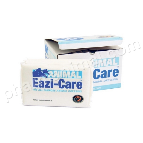 EAZI-CARE CATAPLASME (40X20CM) B/10