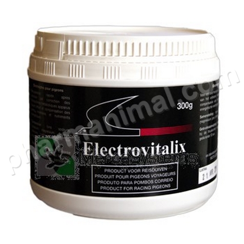 ELECTROVITALIX POUDRE B/300 G  ****