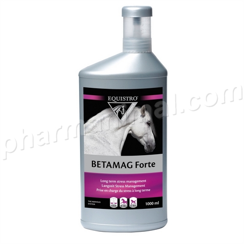 EQUISTRO BETAMAG FORTE FL/1 L *