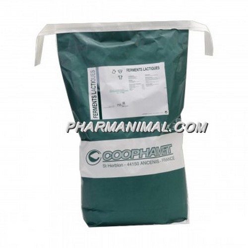 FERMENTS LACTIQUES	sac/5 kg  pdr