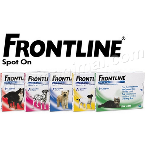 FRONTLINE