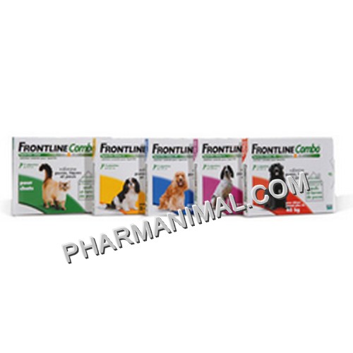Vitamine K1 B 14 Comp Chiens Physiologique Pharmanimal Parapharmacie Pour Animaux
