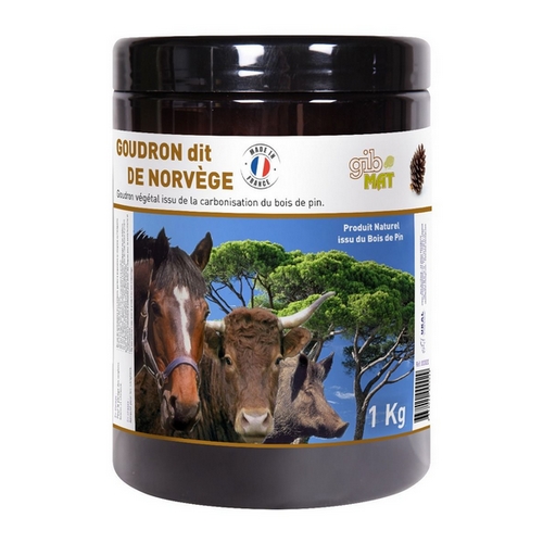 GOUDRON DE NORVEGE   bid/1 kg