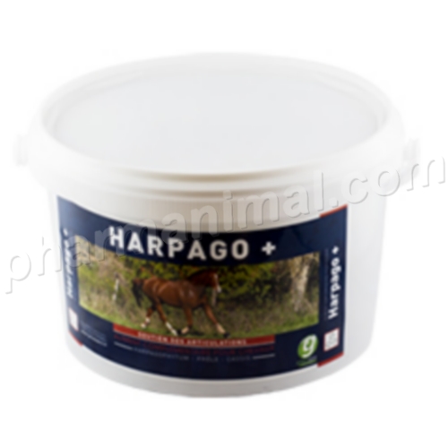 HARPAGO + 	seau/1,5kg	 pdr or