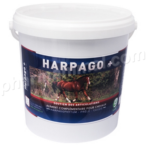 HARPAGO +   seau/4,5kg	 pdr or