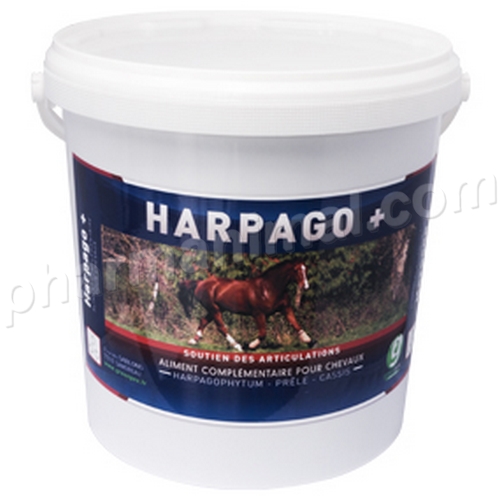 HARGOPHYT (HARPAGOPHYTUM) flacon de 1 l ou 5 l