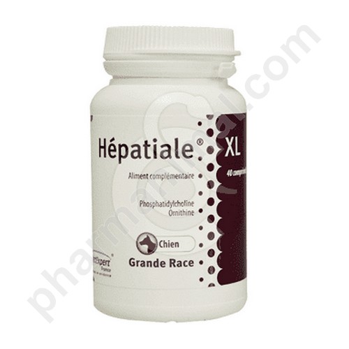 HEPATIALE XL                   	b/40      cpr