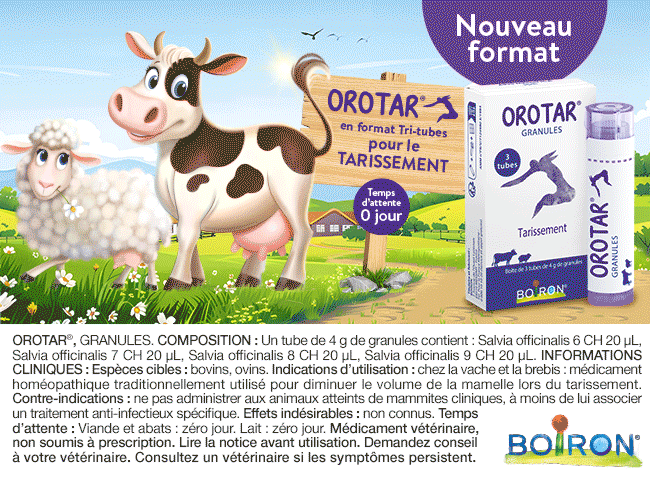 OROTAR  b/3 tubes