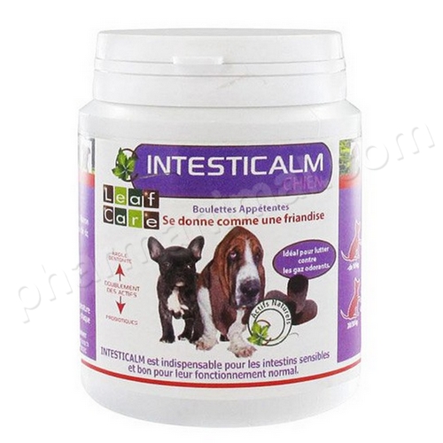 INTESTICALM CHIEN COFFRET      	b/6*100 g 	boulette ***